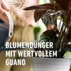 COMPO Blumendünger mit Guano 1,3 l Produktbild-Vorschau 2