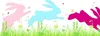 Heyda 203584486 Tapes fenêtre "Lapin" 200 x 7,5 cm Voir les images du produit 1