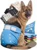 HUND IST KÖNIG Windeln für Hündinnen [3 Stk], L (Taille Produktbild-Vorschau 1