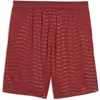 Puma Portugal 25/26 Replica Hosen Rot L Mann Rot L Produktbild-Vorschau 2