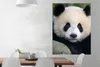MuchoWow® Poster Panda - Wildtiere - Porträt - Stein 90x120 Produktbild-Vorschau 2