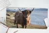 MuchoWow® Mauspad Mousepad Schottische Highlander - Bergen Produktbild-Vorschau 5