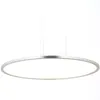 A modern, oval-shaped LED pendant light fixture with a brushed metal frame and a white diffuser, suspended by thin wires against a plain white background. Produktbild-Vorschau