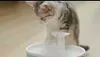 Trinkbrunnen Petlibro Capsule Water Fountain ca. 2 l weiß Produktbild-Vorschau 11