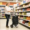 Carrello della spesa Izrielar da 51 litri con borsa Anteprima dell’immagine prodotto 11