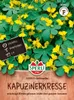 SPERLI Kapuzinerkressesamen Goldranke Tropaeolum peregrinum Produktbild-Vorschau 1