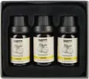 BRUBAKER 3er-Set Lemon Öl - Konzentrationsfähigkeit, gute Produktbild-Vorschau 2