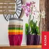 KADAX květináč "Fermo", květináč, plastový květináč, Náhled obrázku produktu 5