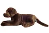 Teddy Hermann 91988 Labrador schokobraun 50 cm Produktbild-Vorschau 3
