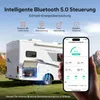 12V 200Ah Xtra Mini LiFePO4 Batterie LiTime mit Bluetooth Produktbild-Vorschau 6