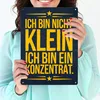 Ich bin nicht klein ich bin ein Konzentrat Metallschild XXL Produktbild-Vorschau 3
