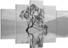 Bild auf Leinwand - Leinwandbild - 5 Teile - Baum Symmetrie Produktbild-Vorschau 1