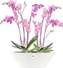 elho brussels Diamond Oval 36cm Übertopf - weiss Produktbild-Vorschau 9