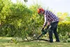 BOSCH Home & Garden 06008B8601 BOSCH Home & Garden Anteprima dell’immagine prodotto 12