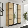 A modern wardrobe with wood-effect doors and black frames, placed in a bright room with plants and a floor lamp. Voir les images du produit
