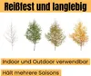 Four trees are shown in different stages of seasonal change, from bare branches to full autumn foliage. Text overlays describe product features. Produktbild-Vorschau