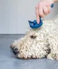 Kit di toelettatura Mikki Doodle con pettine e spazzola per Anteprima dell’immagine prodotto 7