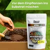 Bio2Grow Myko-Mix 150 Gramm Mykorrhiza Pulver - Dünger Produktbild-Vorschau 9