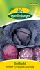 Quedlinburger Saatgut - Rotkohl Roodkop 2 - Samen - 432742 Produktbild-Vorschau 5