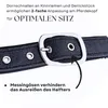 Halfter für Pferde Glitzerhalfter, gepolstertes Halfter, Produktbild-Vorschau 4