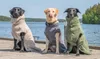 Rukka Pets Bademantel Medea X olive, Größe:M Produktbild-Vorschau 9