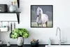 MuchoWow® Gerahmtes Poster Pferd - Licht - Morgen 40x40 cm Produktbild-Vorschau 3