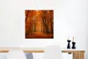 MuchoWow® Poster Herbst - Rot - Wald 50x50 cm - Produktbild-Vorschau 5