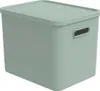 Rotho Babydesign Contenitore L Kayo 27 l Anteprima dell’immagine prodotto 1