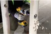 Dewalt Self-drilling Socket Drill 65Mm Voir les images du produit 6