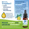 PanaKids Omega 3 Tropfen für Kinder ab 4 Jahren mit Produktbild-Vorschau 4