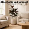 Mica Decorations Fíkus – umělá rostlina – realistická umělá Náhled obrázku produktu 7