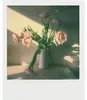 Polaroid Color Film für i-Type - 40er Pack für kreative Produktbild-Vorschau 13