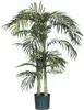 Palme Areca Golden Cane, 150 cm - Grün Produktbild-Vorschau 4