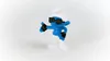 Schleich Schtroumpfs Vanity 20842 Voir les images du produit 9