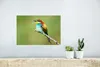 MuchoWow® Poster Vogel - Tiere - Bienenfresser 30x20 cm - Produktbild-Vorschau 5