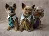 Gentledog Hundekrawatte, schwarz-weiß, Größe S Produktbild-Vorschau 5