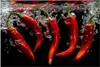 Küchenrückwand Spritzschutz Glas mit Motiv Chili unter Produktbild-Vorschau 3