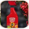 Insektenspray Polysect - 750 ml - gegen Schädlinge - Produktbild-Vorschau 10