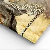 Bild auf Leinwand - Leinwandbild - Afrika Leopard Katze Produktbild-Vorschau 5