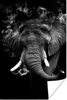 MuchoWow® Poster Elefant mit Rauch gegen schwarzen Produktbild-Vorschau 1