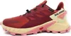 SALOMON SHOES SUPERCROSS 4 GTX W Cohid 000 Cow Produktbild-Vorschau 13