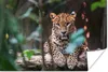 MuchoWow® Poster Panther - Dschungel - Tiere 180x120 cm - Produktbild-Vorschau 1