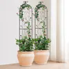 set de 2 supports pour plantes grimpantes Grille pour Voir les images du produit 8