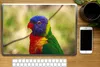 MuchoWow® Laptop Aufkleber Sticker Cover Vogel - Sittich - Produktbild-Vorschau 2