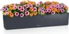 Lechuza Samozavlažovací truhlík Balconera Color 100 cm, Náhled obrázku produktu 9