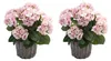 2er Set künstliche Hortensien im Korb rosa H. 45cm D. 20cm Produktbild-Vorschau 1