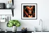 MuchoWow® MuchoWow® Gerahmtes Poster Flamingo - Blätter - Produktbild-Vorschau 4