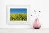 Blumen Gerahmtes Bild Mit Edlem Passepartout | Wand-Bilder Produktbild-Vorschau 2