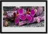 Bild 70x50 MDF-Rahmen Wandkunst Holz Natur Pflanze Blumen Produktbild-Vorschau 1
