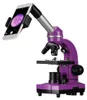 A purple microscope with a smartphone attached to the eyepiece, showing a magnified image on the phone screen. Produktbild-Vorschau